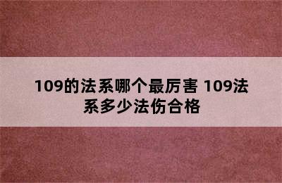 109的法系哪个最厉害 109法系多少法伤合格